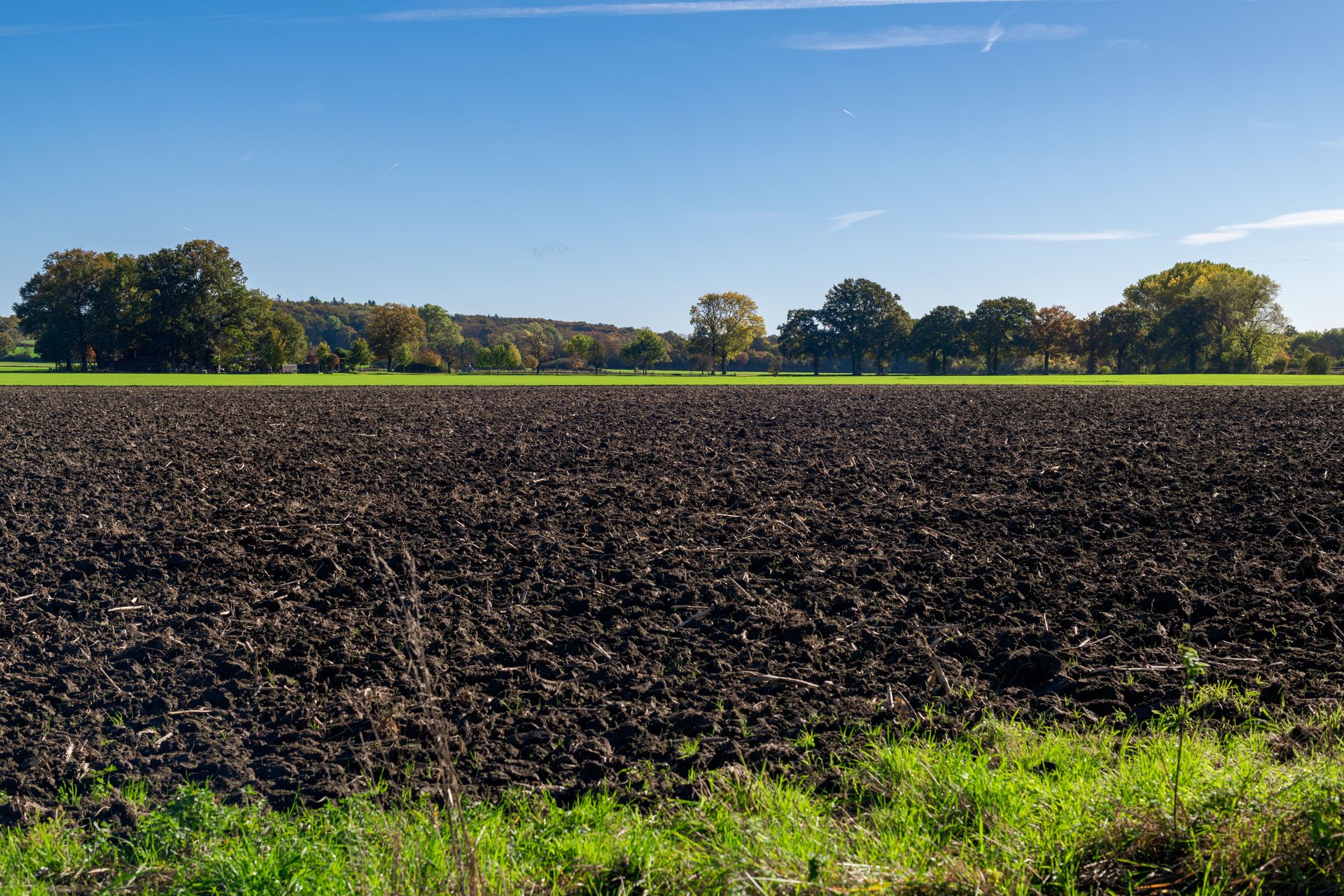 Expansive plowed farmland under a clear blue sky, surrounded by autumn trees.